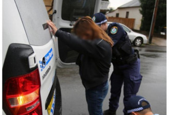 澳洲警方突袭悉尼华人区 多人被捕