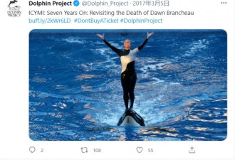 海洋公园招牌海报女郎遭虎鲸咬伤惨死 游客目击