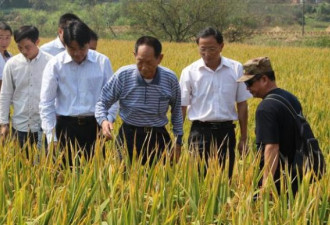 痛别！中国“杂交水稻之父”袁隆平逝世