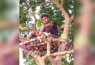 怕感染家人，印度男子确诊后爬树上自我隔离