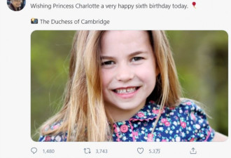 英夏绿蒂公主6岁生日新照片曝光 长发披肩淑女