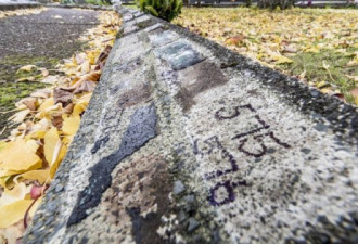 新西兰墓地遭窃！75块墓碑被偷走，家属震惊