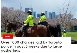 举报不断！多伦多警察三周开了千余张聚会罚单
