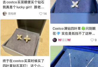 华人疯抢Costco平价钻石项链！省下$4,600刀！