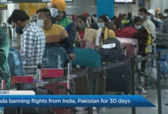 禁印巴直飞两周后 确诊国际航班减半