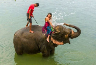 新冠疫情如何影响尼泊尔大象的命运？