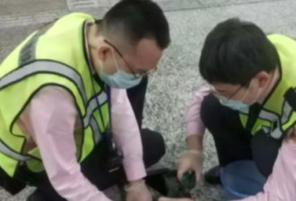 女子带娃到上海旅游行李箱拖坏 竟要地铁站赔新