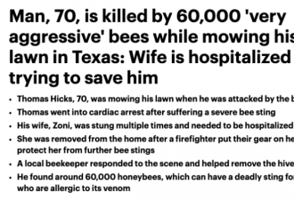 男子家门口剪草遭60000只蜜蜂袭击，当场惨死