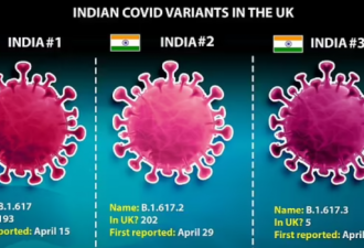 英国出现印度毒株，其单月感染率上升了12倍
