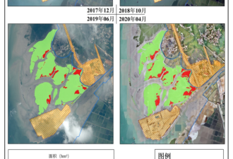 无视6道停工令，广西大型国企毁了红树林