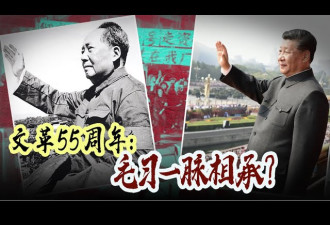 文革55周年：毛为何发动？习为何重评?