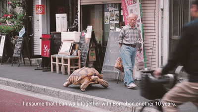 日本老人养140斤龟儿子 养好了能送走你…