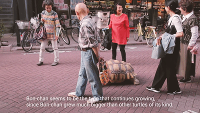 日本老人养140斤龟儿子 养好了能送走你…