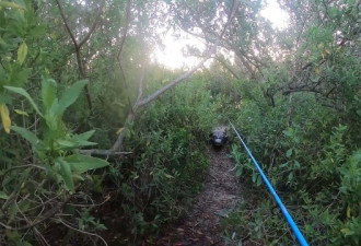 沼泽钓鱼惹来3.35m巨鳄追赶 佛州钓客惊慌狂逃