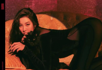 “南韩第一腿精”宣美，猫女湿身透视装