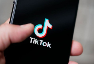 被指侵犯欧盟消费者权益 TikTok被要求1月回应