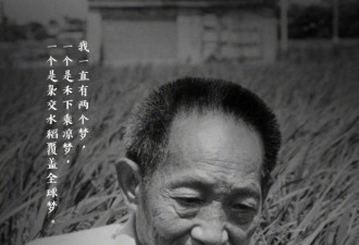 默哀!杂交水稻之父袁隆平13时07分去世享年91岁