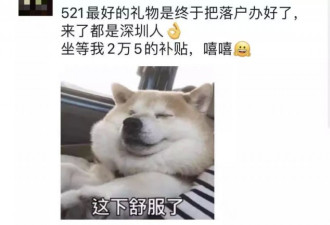 2021海归福利政策大盘点！落户、领钱、买车…