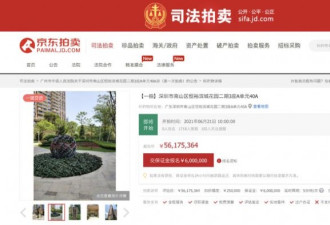 海南省委原常委深圳房产被拍卖 起拍价5617万