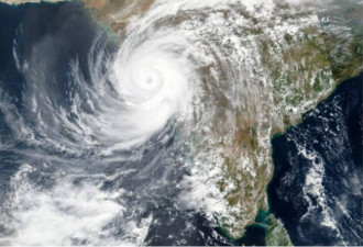 8米高巨浪侵袭印度！死亡人数增至91人