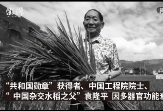 杂交水稻之父袁隆平逝世，晚年还有两个未圆梦