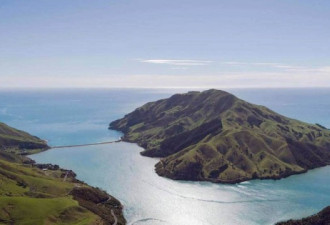 26年后Nelson小岛回归新西兰 神秘公司买下