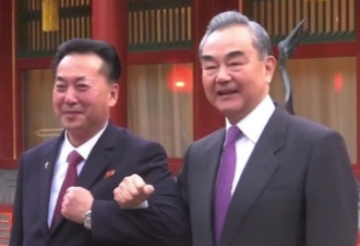 王毅用“碰肘礼”欢迎朝鲜新任驻华大使