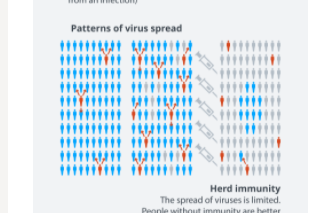 新冠疫情如何才能降级为“大号流感”?
