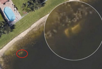 谷歌地图细思恐极 网友发现疑似巨人遗骸