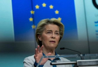 欧盟 七国集团领导人支持美国重新调查新冠源头
