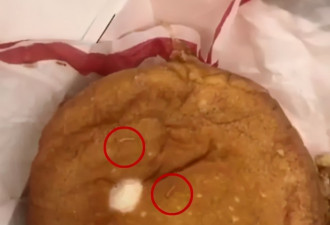女子吃麦当劳汉堡吃出大量活虫！麦当劳回应