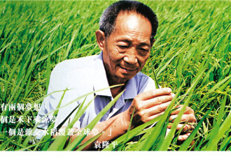 中国缅怀水稻之父 新华社选择性地遗忘大饥荒？