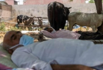 农村75%人口确诊 印度面临疫情屠村危机