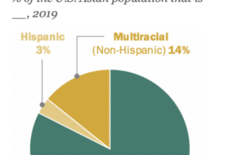 最新数据：亚裔将成美国最大移民群体 华人最多