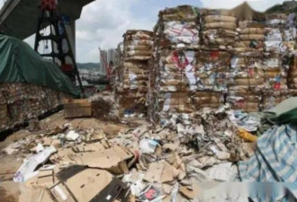 禁止进口废纸五个月 中国纸价格暴涨