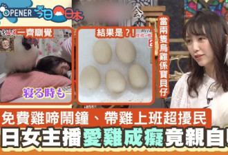 日本女主播爱鸡成痴 与公鸡共枕亲自孵蛋