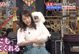 日本女主播爱鸡成痴 与公鸡共枕亲自孵蛋