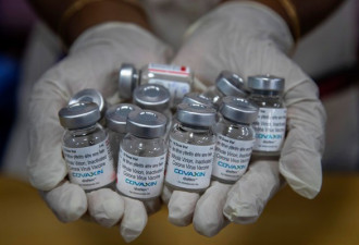 印度证实鼻喷疫苗研发中！年底可产1亿剂