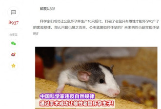 中国最新实验曝光：让公鼠怀孕产下幼鼠 震惊