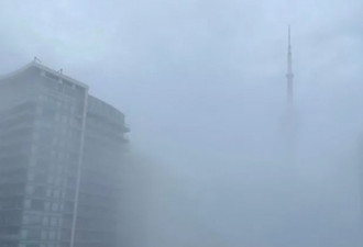 多伦多今晨被大雾笼罩宛如仙境！雷暴已在路上