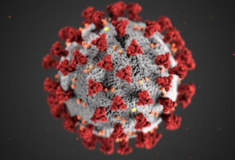 世卫组织警告：印度发现变种病毒或将占据欧洲