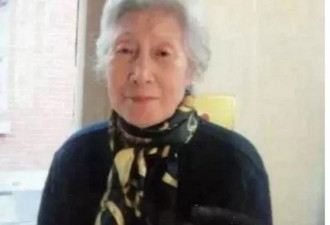 坠落在夏日的丁香：上海滩最后的风华