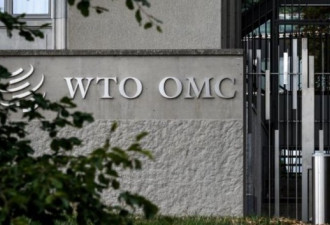 在WTO起诉澳洲：中国不是报复，而是不满