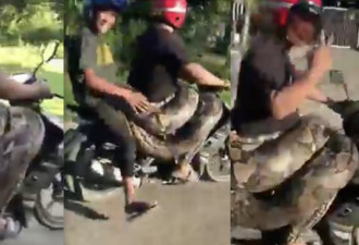 2男腰间缠200公斤巨蟒骑车，危险景象吓坏路人