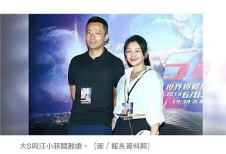 用离婚来危机公关的大S 到底藏什么惊天大瓜？
