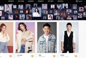 薇娅丈夫公司被罚53万 夫妻二人身家90亿