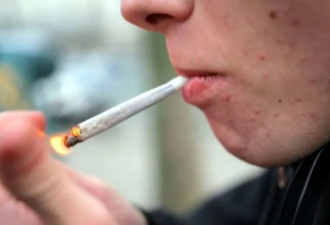 研究发现10%安省青年承认开车前吸大麻