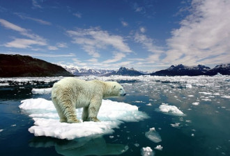 北极圈高烧48℃ 地球为什么在疯狂吸热？