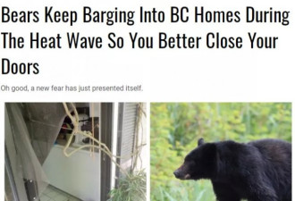 热死！黑熊多次闯入居民房想吹空调！关好门！