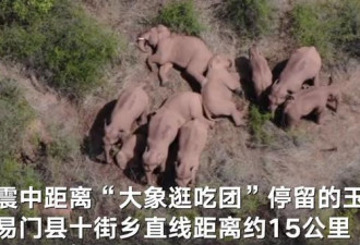 迁徙象群遇地震 距震中15公里 监测员: 象安全